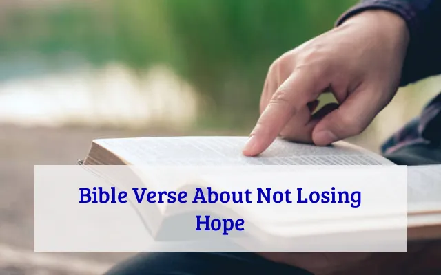 Bible Verse About Not Losing Hope