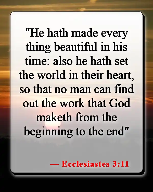 Bible Verses About God's Gift Of Life (Ecclesiastes 3:11)