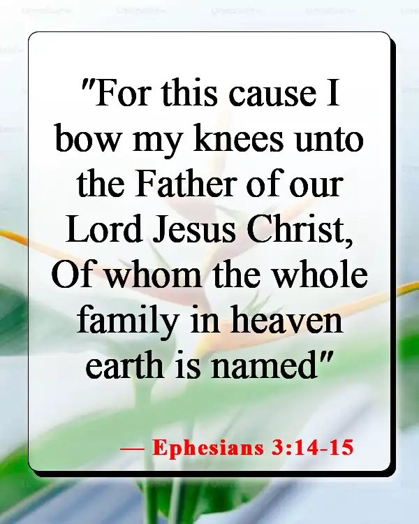 Bible Verses About The Family Home (Ephesians 3:14-15)