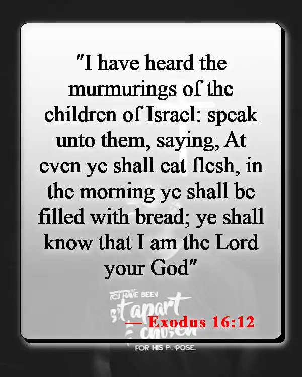 Bible Verses About Food For The Soul (Exodus 16:12)