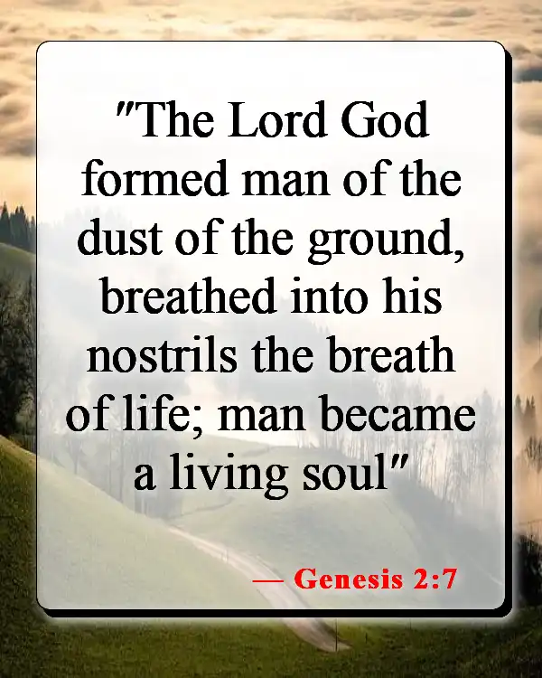 Bible Verses About Death Of A Pet (Genesis 2:7)