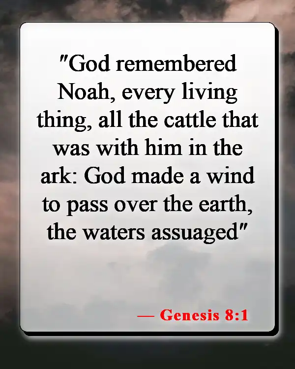 Bible Verses About Death Of A Pet (Genesis 8:1)