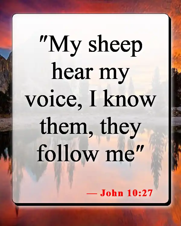 Bible Verses About Surrendering To God (John 10:27)