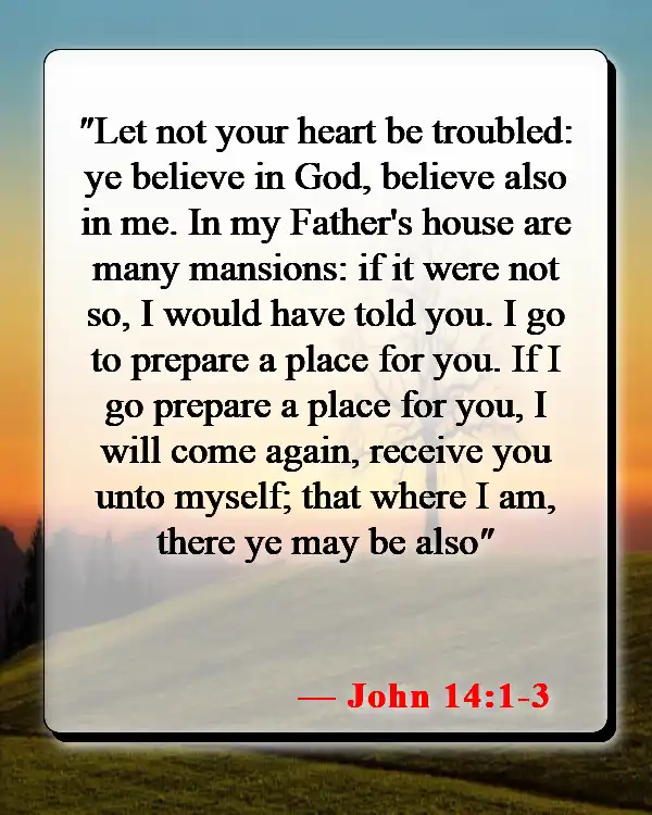 Bible Verses About Tragedy And Hope (John 14:1-3)