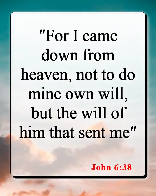Bible Verses About Why Jesus Came To Earth (John 6:38)