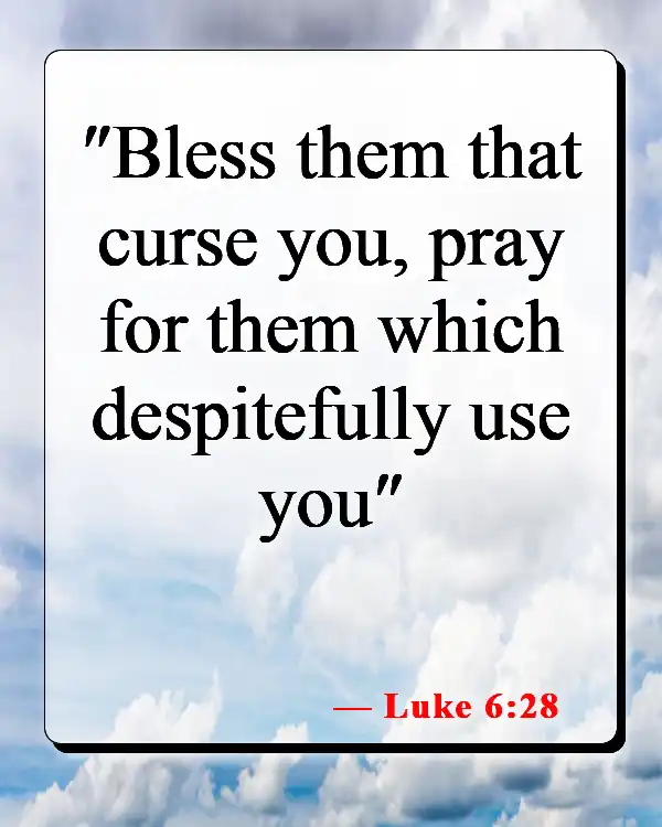 Bible Verse About Praying For Someone You Love (Luke 6:28)