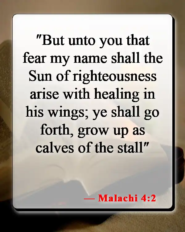 Bible Verses About Forgiveness And Healing (Malachi 4:2)