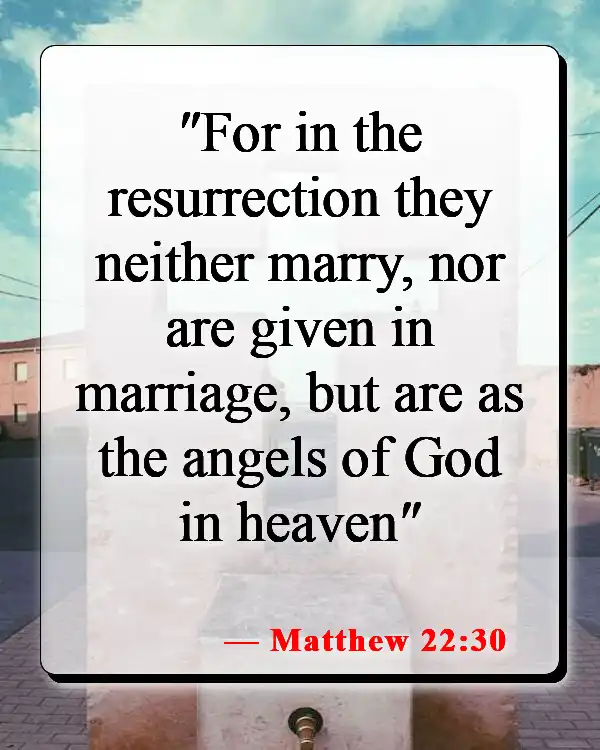 Bible Verses About Babies Going To Heaven (Matthew 22:30)