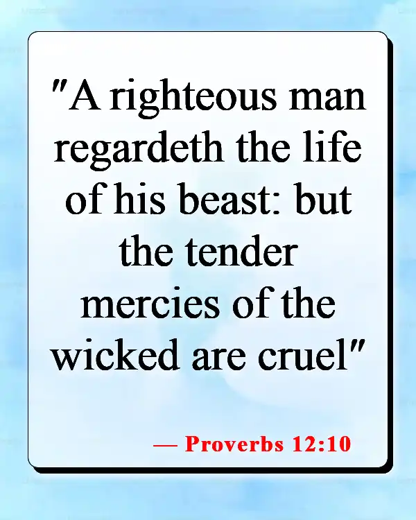 Bible Verses About Death Of A Pet (Proverbs 12:10)