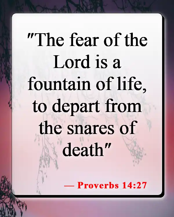Bible Verses About God's Gift Of Life (Proverbs 14:27)