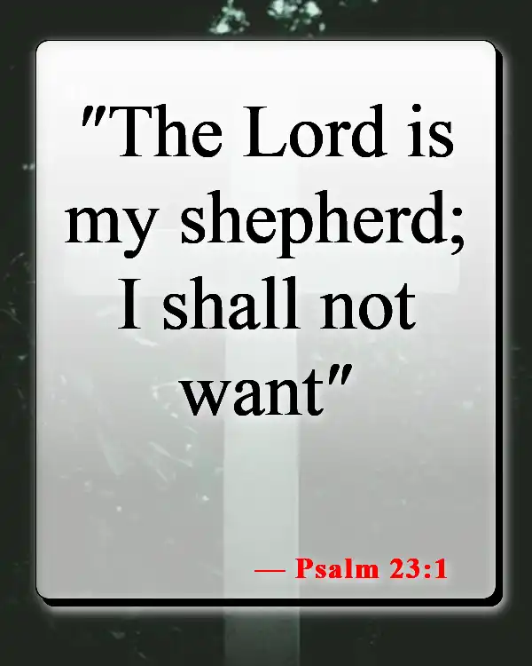 Bible Verses About Seeing Yourself As God Sees You (Psalm 23:1)