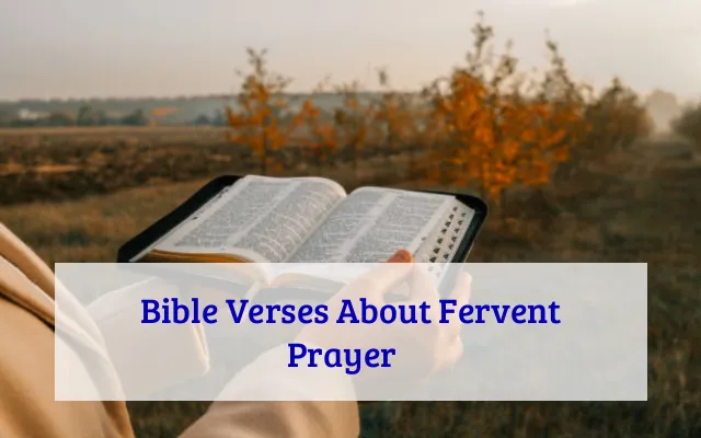 Bible Verses About Fervent Prayer​