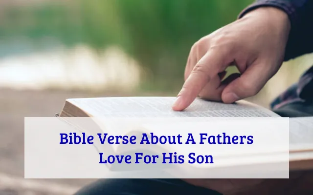 Bible Verse About A Fathers Love For His Son